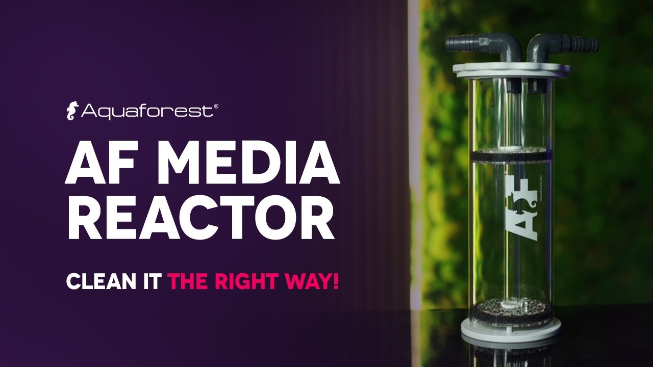 Image of Aquaforest AF Media Reactor with a message on cleaning for optimal aquarium filtration.