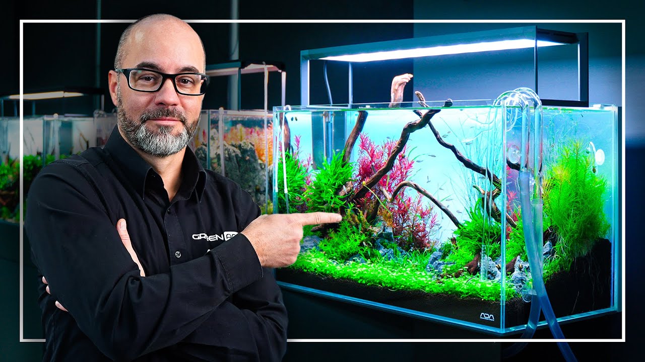 Expert showcasing a beautifully planted aquarium with vibrant aquatic plants and a modern design.