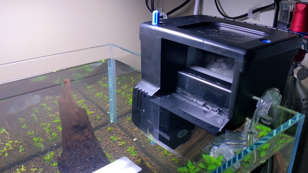 Seachem Tidal 35 HOB filter placed in a freshwater aquarium, showcasing its efficient design and functionality.