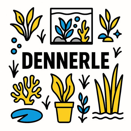 Colorful illustration of Dennerle plants, including aquatic and decorative varieties, highlighting gardening and horticulture.