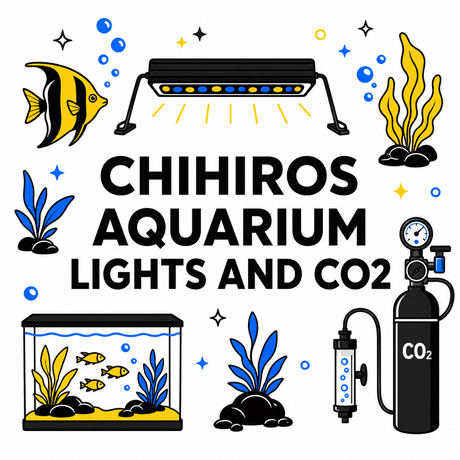 Chihiros aquarium lights and CO2 with decorative fish, plants, and equipment for aquatic beauty.