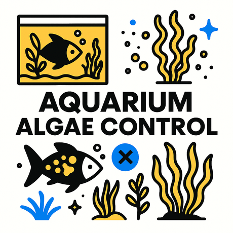 Illustration of aquarium with fish and plants, highlighting algae control solutions for healthy aquatic environments.