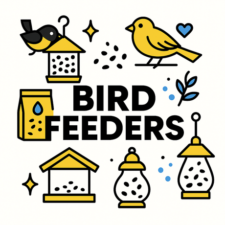 Colorful illustration of bird feeders and birds, highlighting various feeding styles and essentials for bird care.