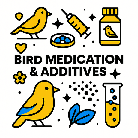 Colorful illustration of bird medication, syringes, supplements, and birds, promoting bird health and vitality.