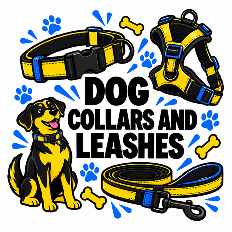 Dog Collars and Leashes collection at Jungle Aquatics