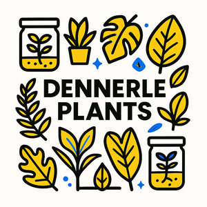 Dennerle Plants