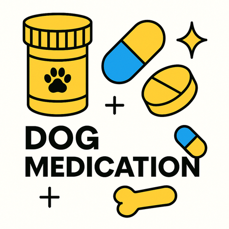 Illustration of dog medication including a pill bottle, capsules, and a bone, highlighting pet health solutions.