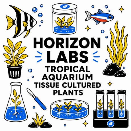 Horizon Labs Tropical Aquarium Tissue Cultured Plants illustration featuring aquatic life and plants.