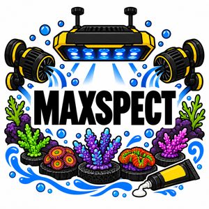Maxspect