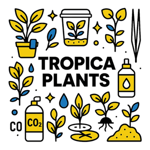 Tropica Plants