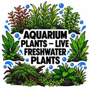 All Plants