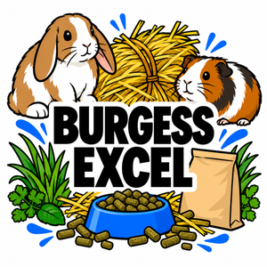 Burgess Excel