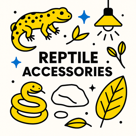 Colorful illustration of reptile accessories featuring a lizard, snake, leaves, and a lamp, showcasing essential items for reptiles.