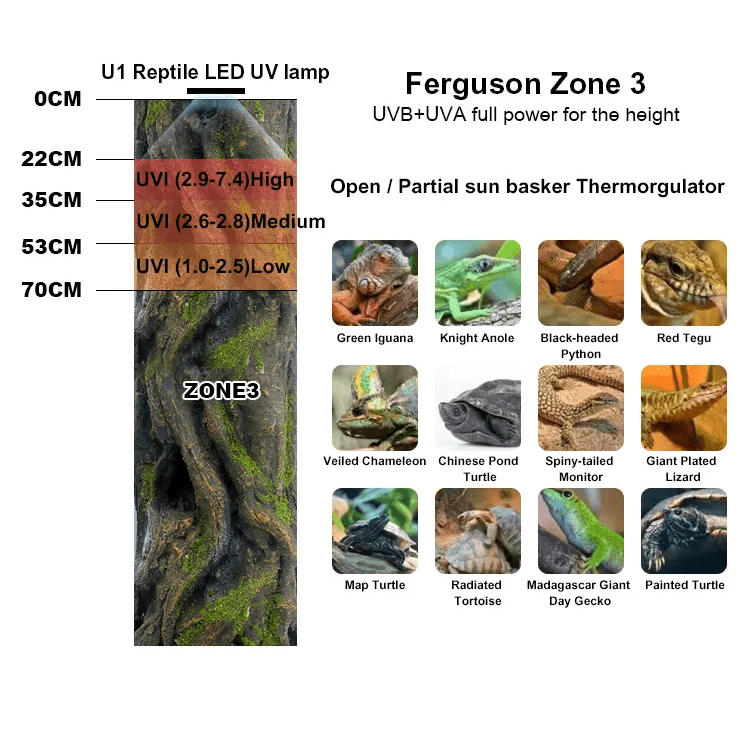 Zetlight Reptile Lamp U1 9W UVA and UVB with Ferguson Zone 3 guide for UV exposure and various reptiles.