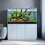 Hygger 2 in 1 Aquarium Heater with Wave Maker in a beautifully planted aquarium.