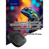 Zetlight Reptile Lamp U1 9W UVA and UVB showcasing LED lighting for reptiles in colorful setting.