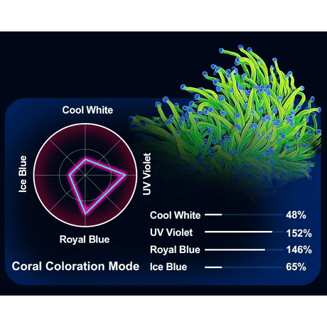 Zetlight M5 Marine LED Light coral coloration mode chart with cool white, violet, royal blue, and ice blue channels.