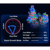Zetlight M5 Marine LED Light spectrum chart illustrating coral growth and light settings.