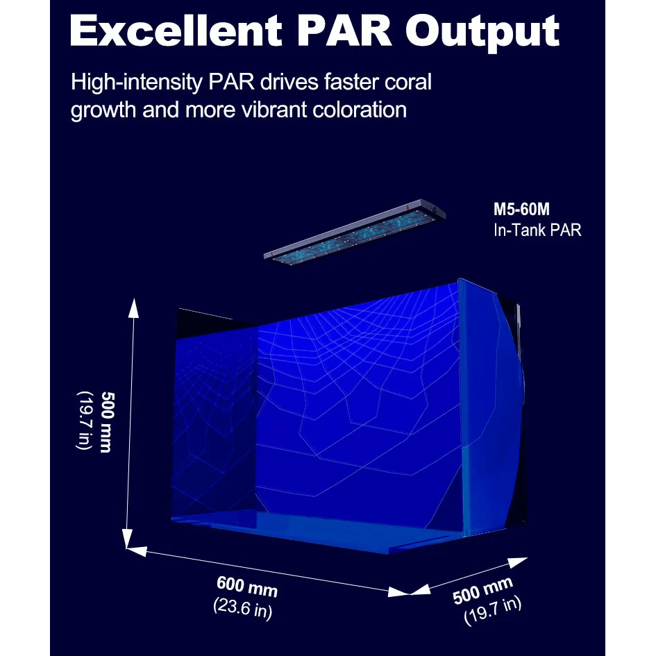 Zetlight M5 Marine LED Light demonstrates excellent PAR output for coral growth and coloration in a marine aquarium.