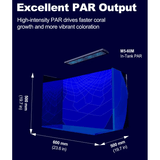 Zetlight M5 Marine LED Light demonstrates excellent PAR output for coral growth and coloration in a marine aquarium.