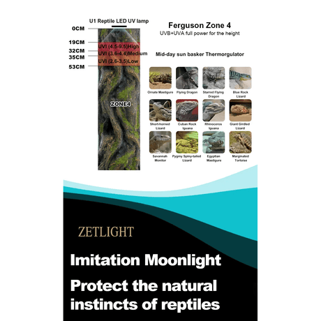 Zetlight Reptile Lamp U1 9W UVA and UVB Ferguson Zone 4 UVB and UVA lighting chart for reptiles.