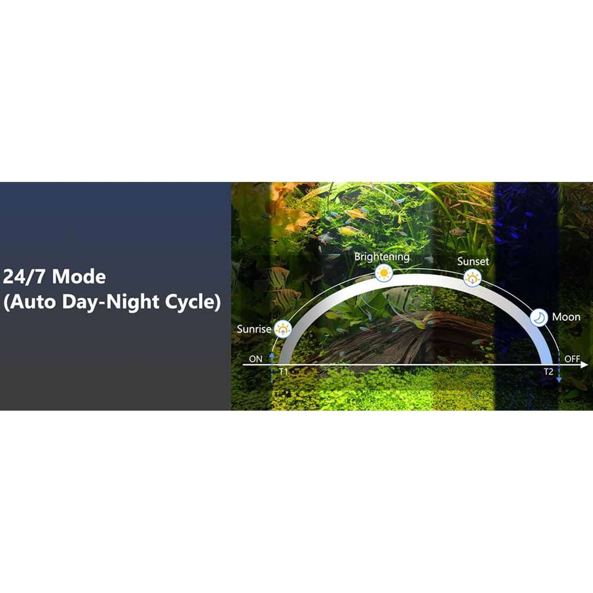 Hygger Aqua Sense Aquarium LED Light 24/7 mode showing auto day-night cycle for planted tanks.