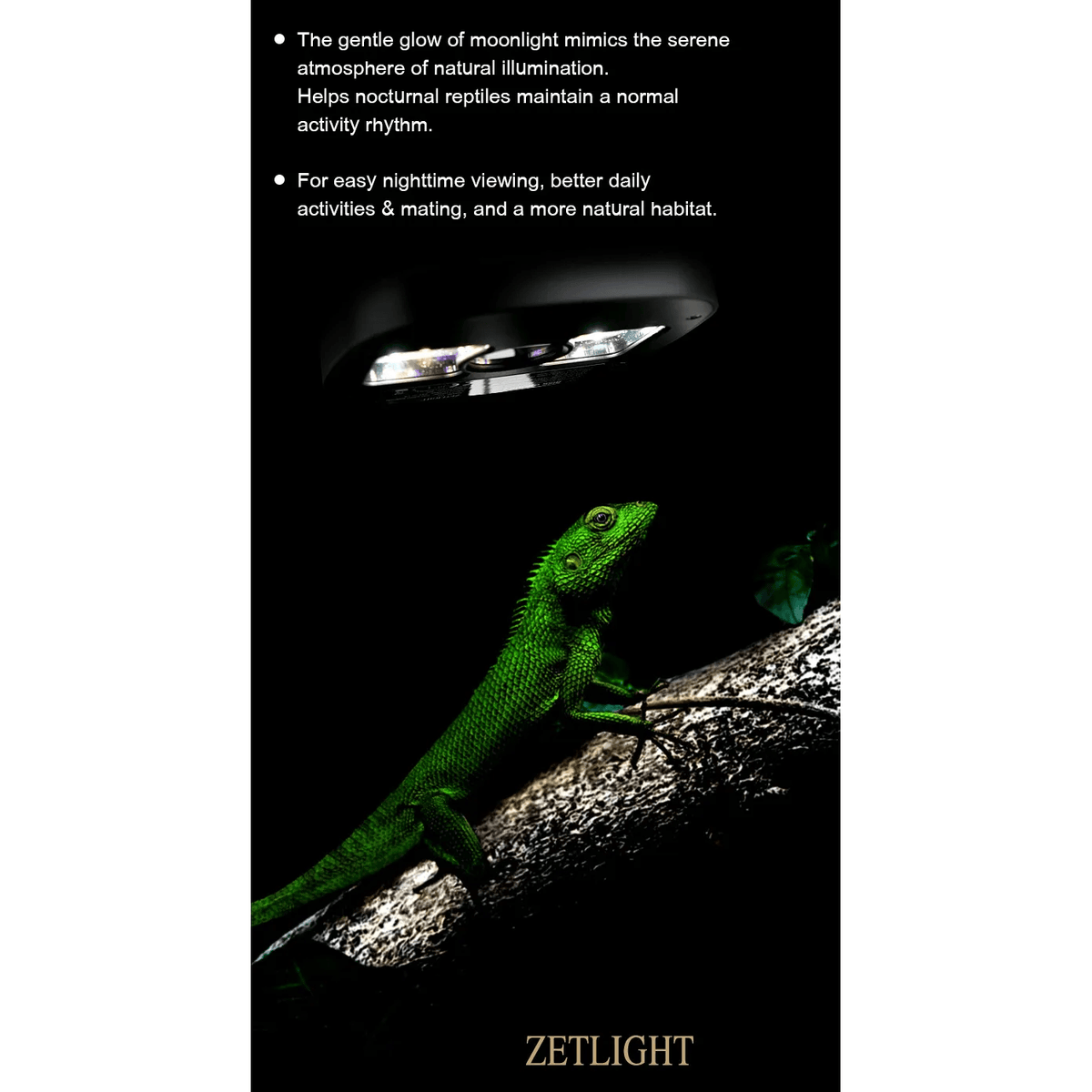 Zetlight Reptile Lamp U1 9W UVA and UVB illuminating a green reptile in a natural habitat setting.