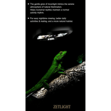 Zetlight Reptile Lamp U1 9W UVA and UVB illuminating a green reptile in a natural habitat setting.