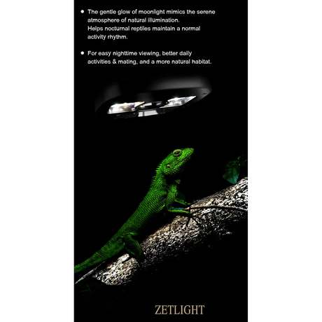 Zetlight Reptile Lamp U1 9W UVA and UVB illuminating a green reptile in a natural habitat setting.