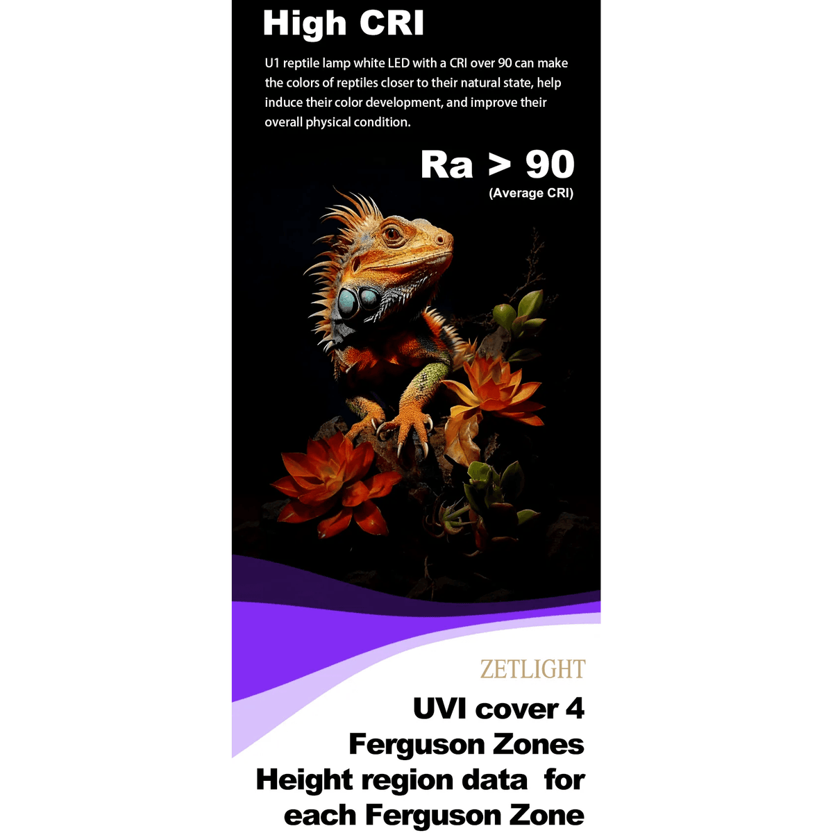 Zetlight Reptile Lamp U1 9W UVA and UVB with high CRI for optimal reptile color development and health.