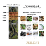 Zetlight Reptile Lamp U1 9W UVA and UVB Ferguson Zone 2 UVI levels for various reptiles and lighting needs.