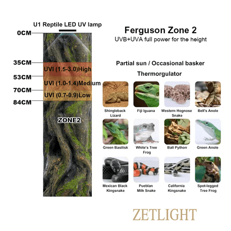 Zetlight Reptile Lamp U1 9W UVA and UVB Ferguson Zone 2 UVI levels for various reptiles and lighting needs.
