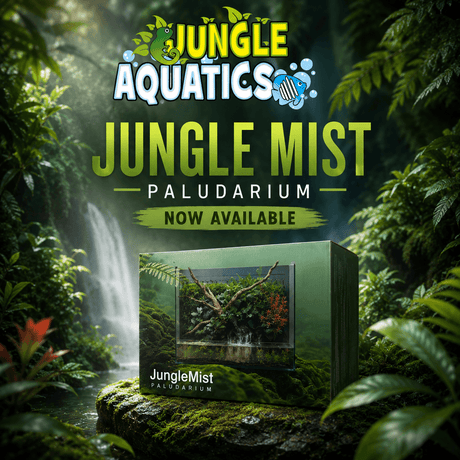Jungle Mist Paludarium product image showcasing integrated filtration and waterfall, now available from Jungle Aquatics.