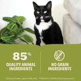Acana Kitten Premium Pâté Chicken & Fish in Bone Broth Wet Cat Food showing 85% quality animal ingredients and no grain ingredients
