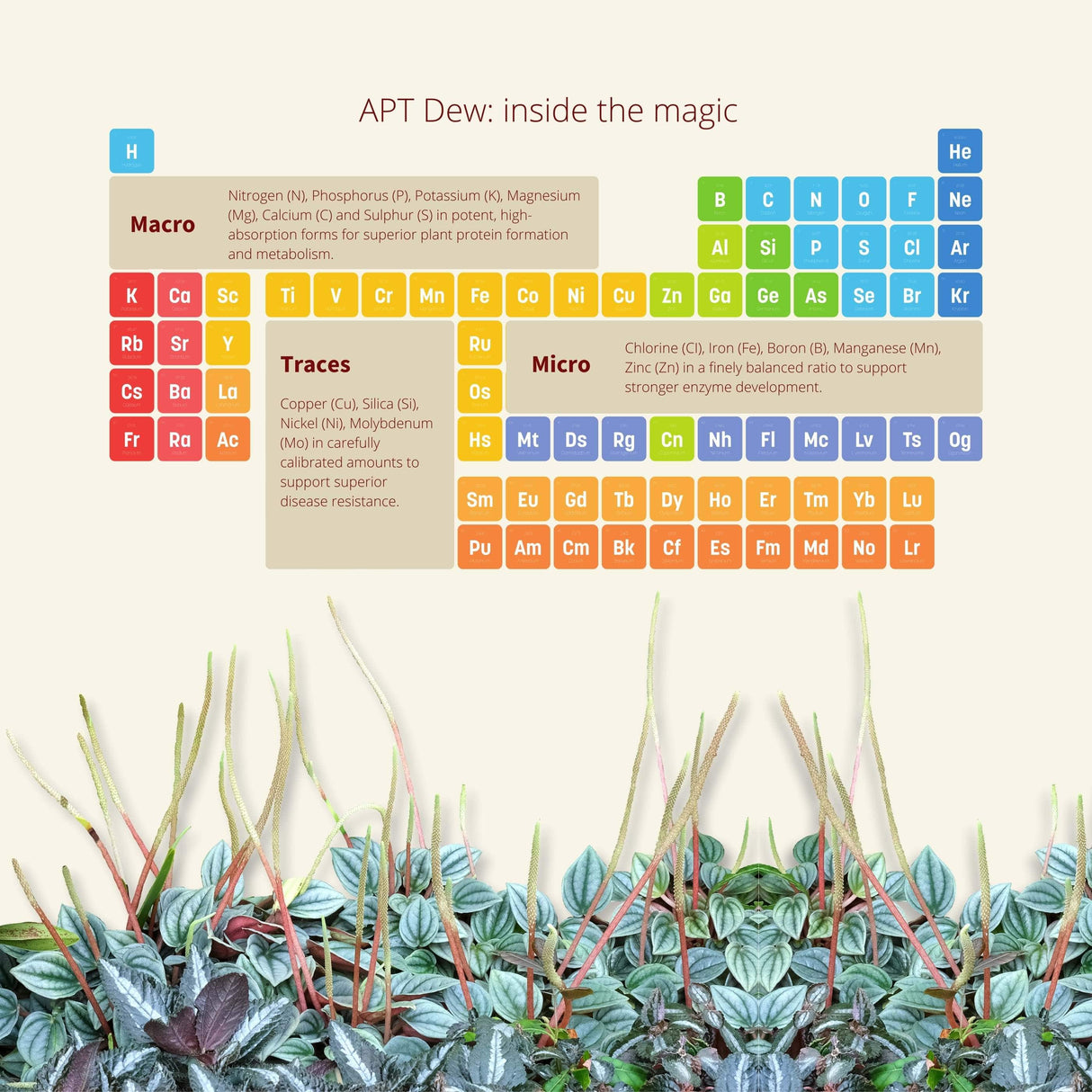 APT Dew Spray 300ml infographic showing nutrient details for stronger plants and superior growth.