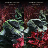 APT Fix Algae Treatment results on Seiryu stone before and after treatment, showing algae reduction.