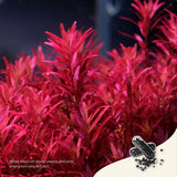 APTT Jazz Plant Growth Booster 18 Tabs enhances Rotala 'blood red' for vibrant growth in aquariums.