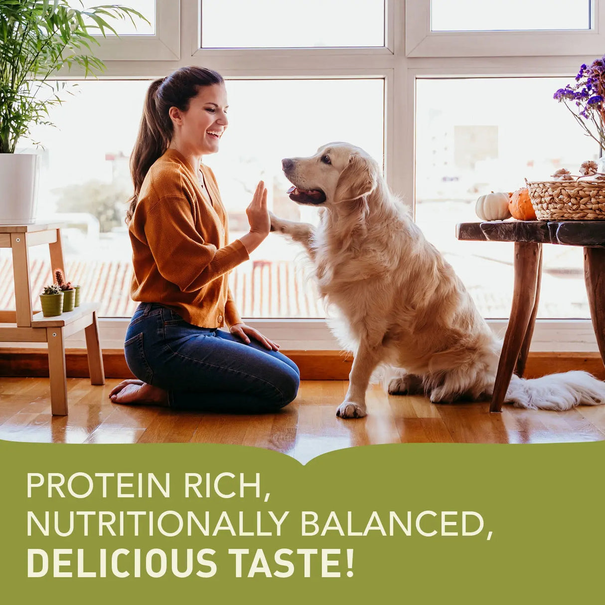 Acana Adult Dog Recipe Dry Dog Food 17kg with a happy dog and owner enjoying a balanced and nutritious meal together.