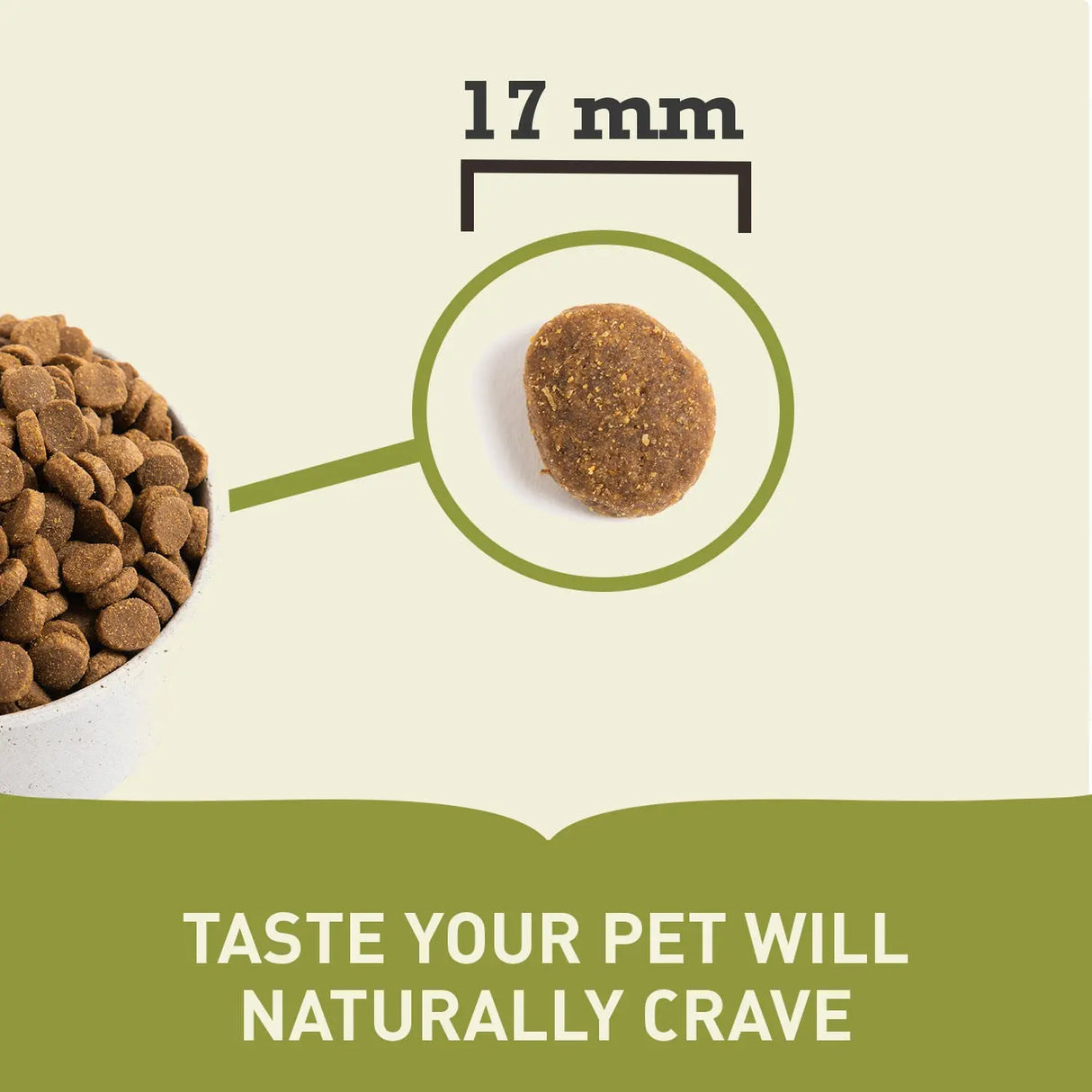 Acana Adult Large Breed Dry Dog Food 17kg kibble piece shown as 17 mm highlighting its quality and appeal.