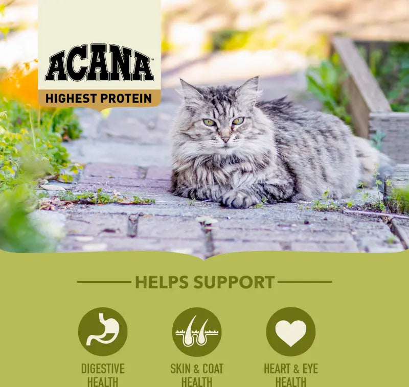 Acana Highest Protein Grasslands Dry Cat Food 1.8kg with a healthy cat outdoors in a natural setting.