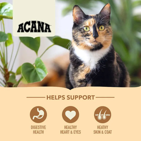 Acana Homestead Harvest Chicken and Turkey Adult Dry Cat Food with benefits for digestive health, heart, eyes, skin and coat.