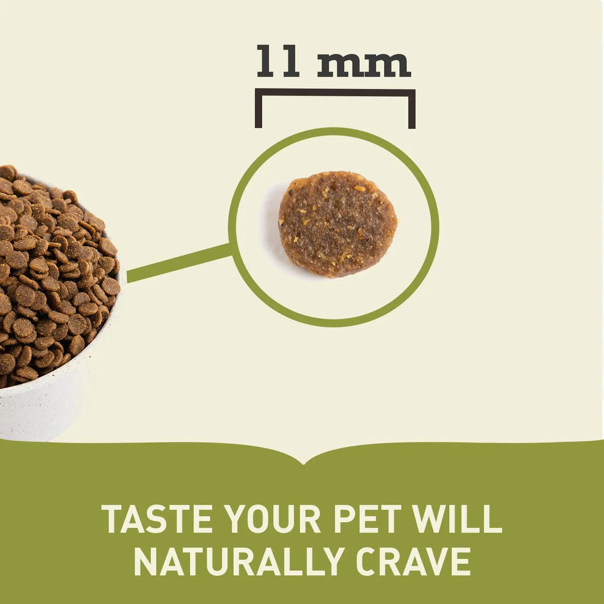 Acana Puppy Recipe Dry Dog Food kibble size comparison, showcasing taste your pet will naturally crave.