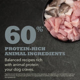60% protein-rich animal ingredients in Acana Small Breed Adult Dry Dog Food with fresh meat for dogs.
