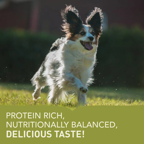 Acana Small Breed Adult Dry Dog Food, protein rich, nutritionally balanced, and delicious taste for small dogs.