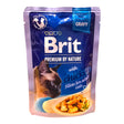 Brit Premium Delicate Fillets in Gravy with Chicken Cat Wet Food Pouch 85g package with cat food.