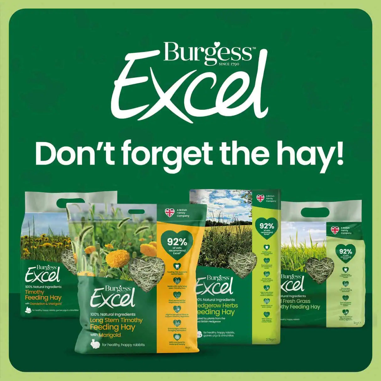 Burgess Excel Long Stem Feeding Hay with Marigold 1kg product packaging display on a vibrant green background.