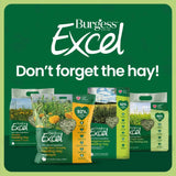 Burgess Excel Long Stem Feeding Hay with Marigold 1kg product packaging display on a vibrant green background.
