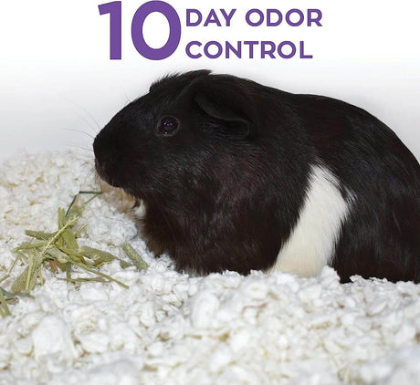 Carefresh Small Animal Paper Bedding provides 10 day odor control for small pets, offering a soft and safe environment.