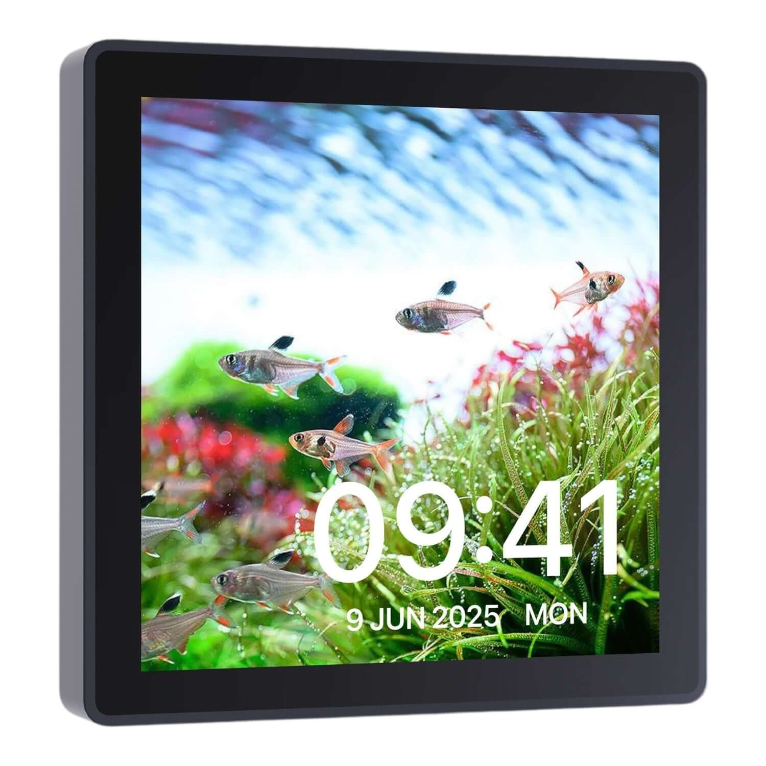 Chihiros WiFi Hub Pro displaying time and aquarium scene with fish and lush aquatic plants.