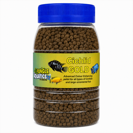 Cichlid Gold Food Pellet in a clear jar, advanced colour-enhancing food for cichlids and large ornamental fish.